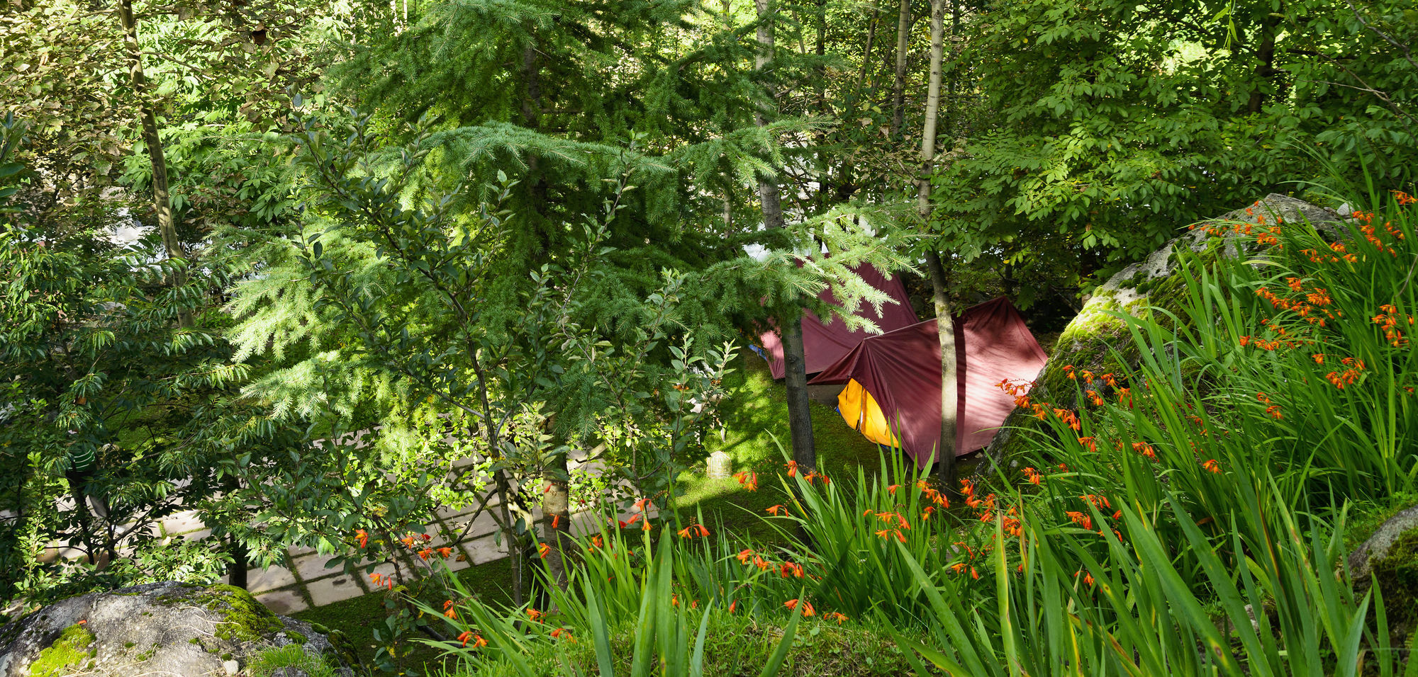 Solang Valley Resort Palchān Exterior photo