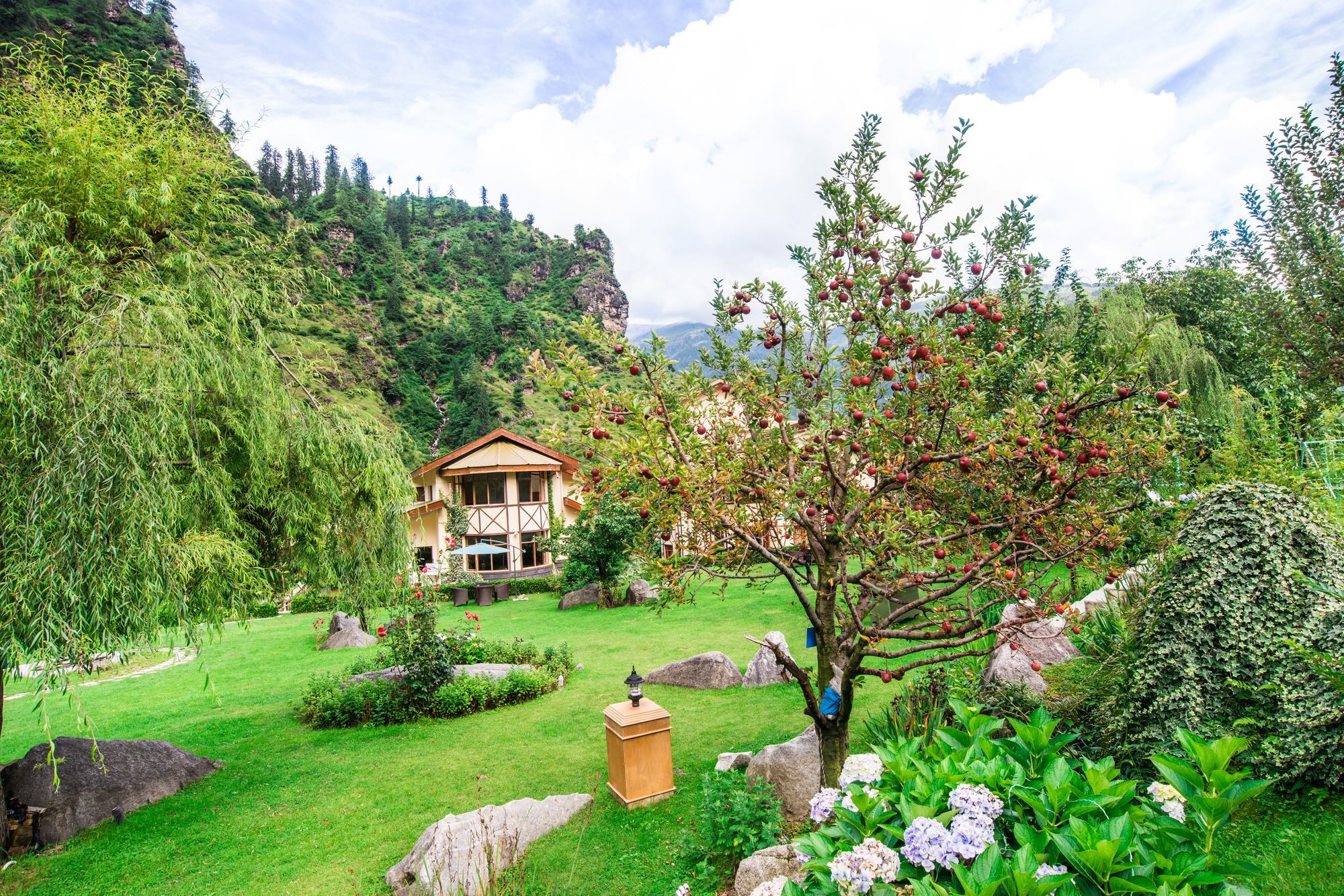 Solang Valley Resort Palchān Exterior photo